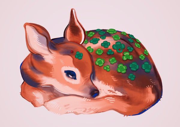 meyo 🌸 on X: "lucky fawn https://t.co/P1fa71qLLg" / X