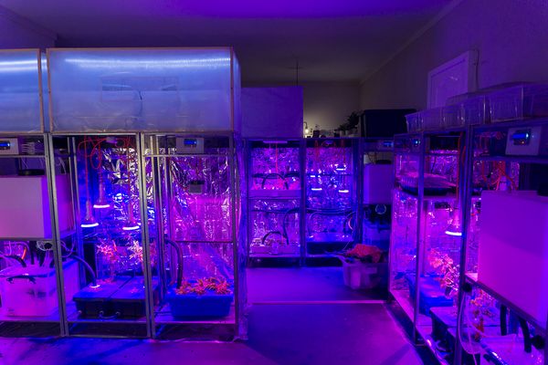 Mitigation of Shock - Superflux