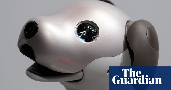 A dog’s inner life: what a robot pet taught me about consciousness | Consciousness | The Guardian