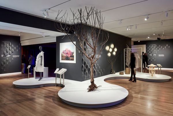 Nature—Cooper Hewitt Design Triennial | Cooper Hewitt, Smithsonian Design Museum