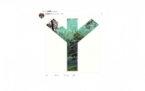 Eco-fascism: The ideology marrying environmentalism and white supremacy thriving online