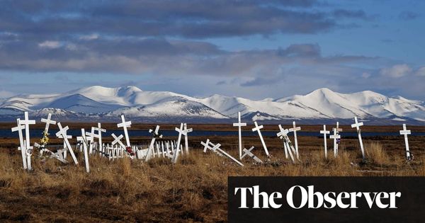 The heat is on over the climate crisis. Only radical measures will work | Environment | The Guardian