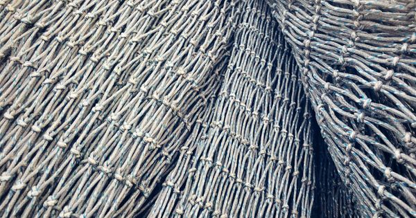 Warp and Weft – Paul Robert Lloyd