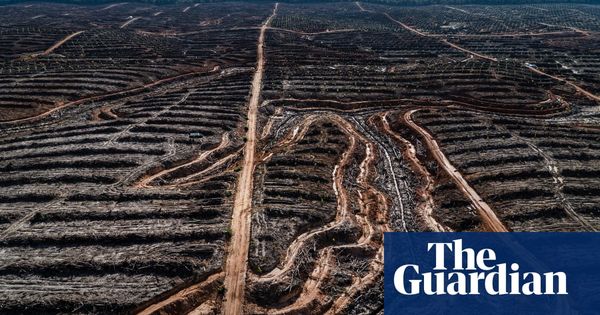 Human society under urgent threat from loss of Earth's natural life | Environment | The Guardian