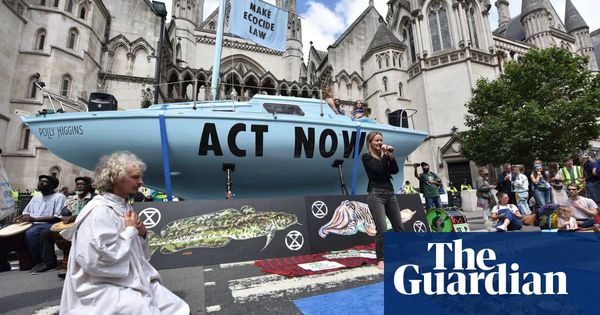 Does Extinction Rebellion have a race problem? | Environment | The Guardian