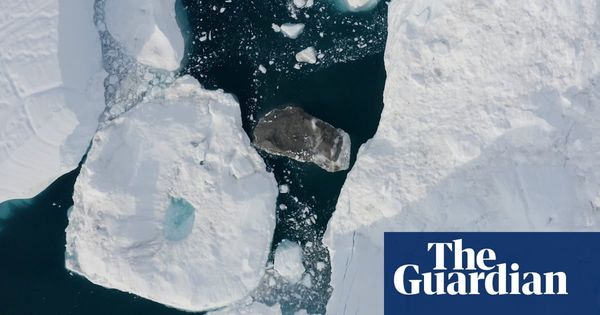 Life on thin ice: mental health at the heart of the climate crisis | Society | The Guardian