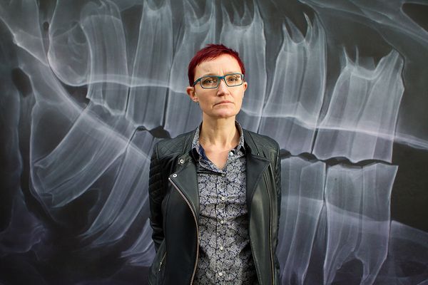 HTML, CSS and our vanishing industry entry points