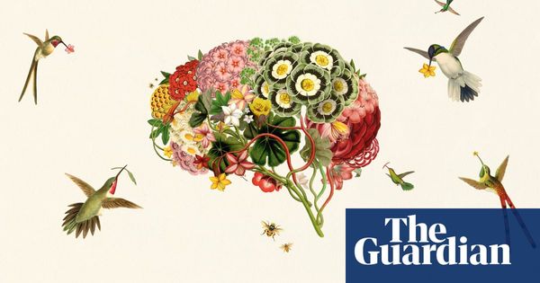 Animal magic: why intelligence isn’t just for humans | Science and nature books | The Guardian