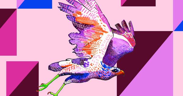 What birds can tell us about climate change