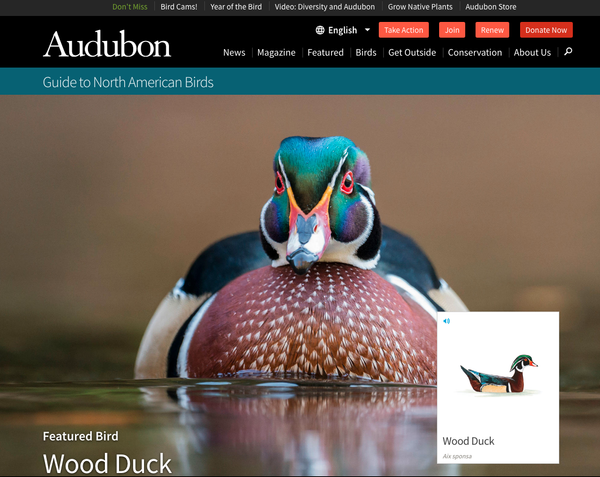 The Invisible, Imperative Aspects of Design - Mule Design Studio - Medium