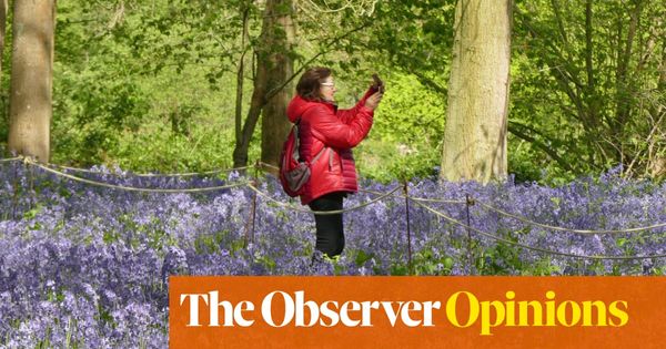 Nature is blooming on social media, but not in the wild | Life and style | The Guardian