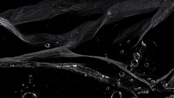 In 2030, we ended the climate emergency. Here’s how - The Correspondent