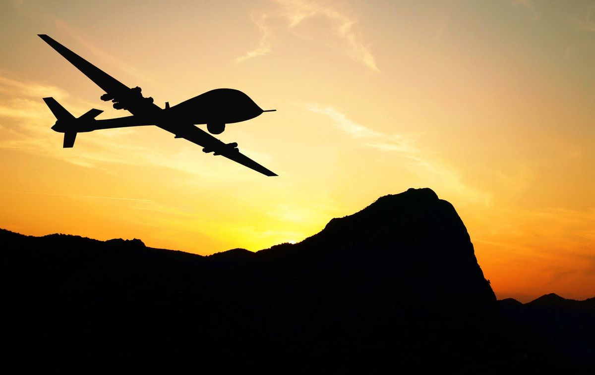 In what sense is a drone a type of animal? | The Outline