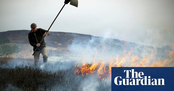 ‘It has become them and us’: the battle to burn England’s moorlands | Life and style | The Gu…